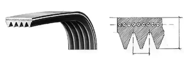 Cinghia poly-V 1238 H7 116LG336 MEGADYNE