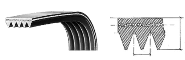 Cinghia poly-V 1287 J4 116LG101 SKF